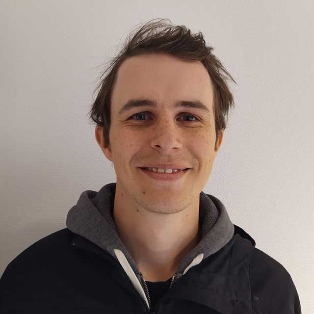 Henrik V